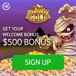 Casino Bonus